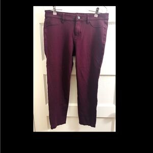 Liverpool Jeans Company Burgundy Pants